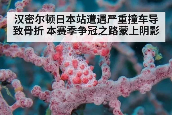 汉密尔顿日本站遭遇严重撞车导致骨折 本赛季争冠之路蒙上阴影