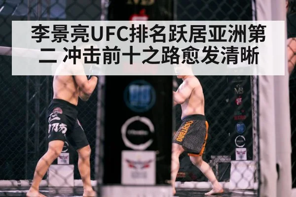 MMA cage fight action